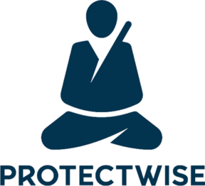 ProtectWise Logo